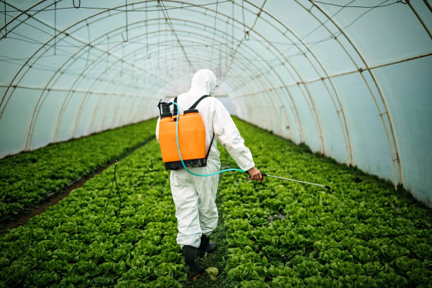 Best Best Pest Control Companies  in San Augustine, TX