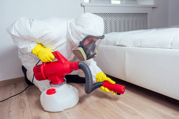 Best Pest Removal Services  in San Augustine, TX