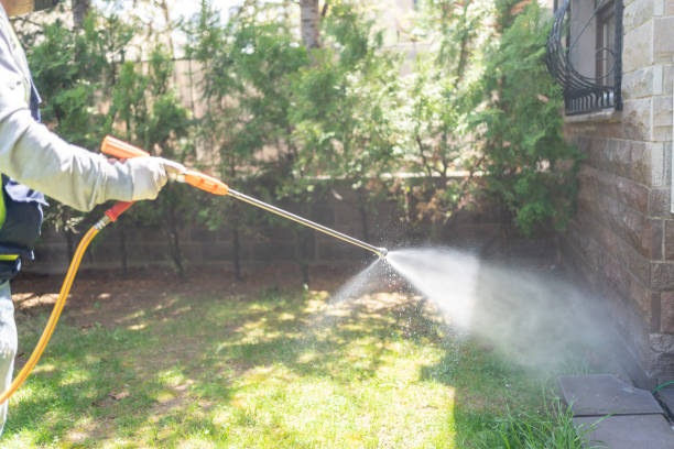 Best Commercial Pest Control Services  in San Augustine, TX