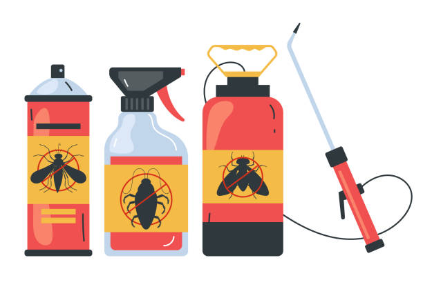 Best Ant Control Services  in San Augustine, TX