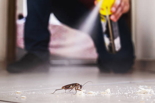 Best Pest Prevention Services  in San Augustine, TX