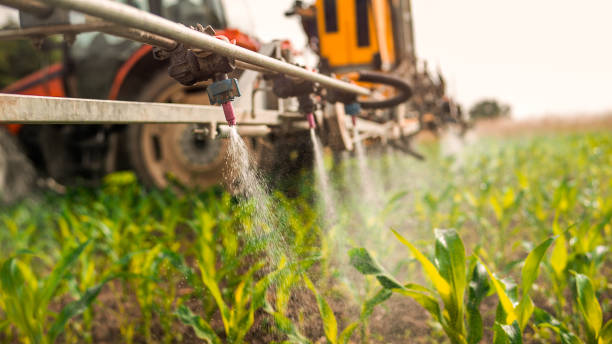 Pest Prevention Services in San Augustine, TX